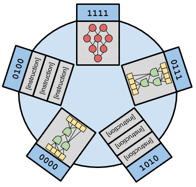 multi-representation SignalGP
