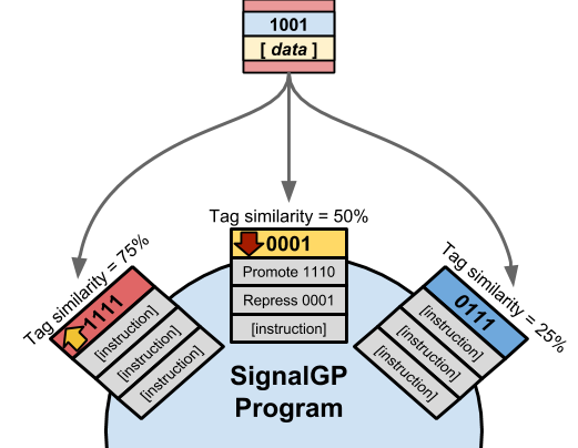 SignalGP function regulation