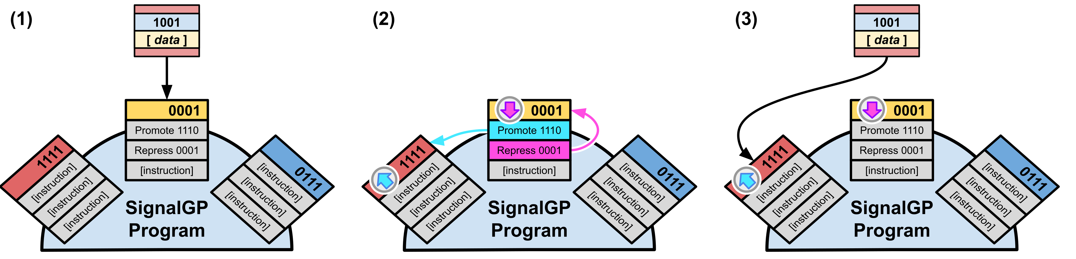 Example of tag-based genetic regulation in SignalGP.